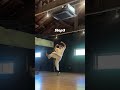 How to dance move #acrobat #tricking #dance#lecture
