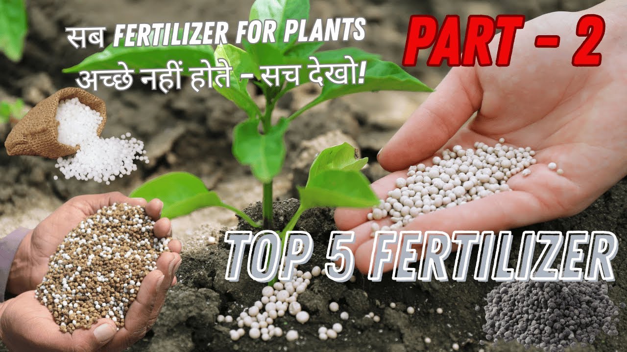 Which Fertilizer Is Best For Plant growth? | Fertilizer For Plants | Top 5 Fertilizer 