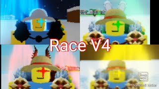 Floppa Piece Race V4 Showcase And Location