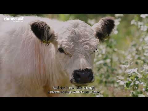 Video: Hoe veeziekten te voorkomen?