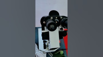 Dicot stem TS 🌵☘️/ biology lab at GSSS SAKANI #biology #gssssakani #govtschool