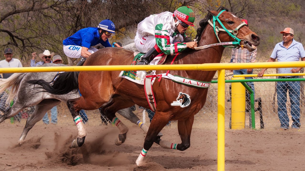 LA REYNA DE DGO LO VUELVE A HACER🤫🔥| LE GANA AL RADICAL Y AL CADETE😳😱