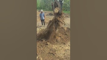Heavy Equipment | Uproot Excavator Process Video Viral Shorts | Ep 02