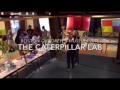 The Caterpillar Lab show at Boston Children&#39;s Museum