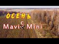 Осень — Поле — Река — Mavic Mini