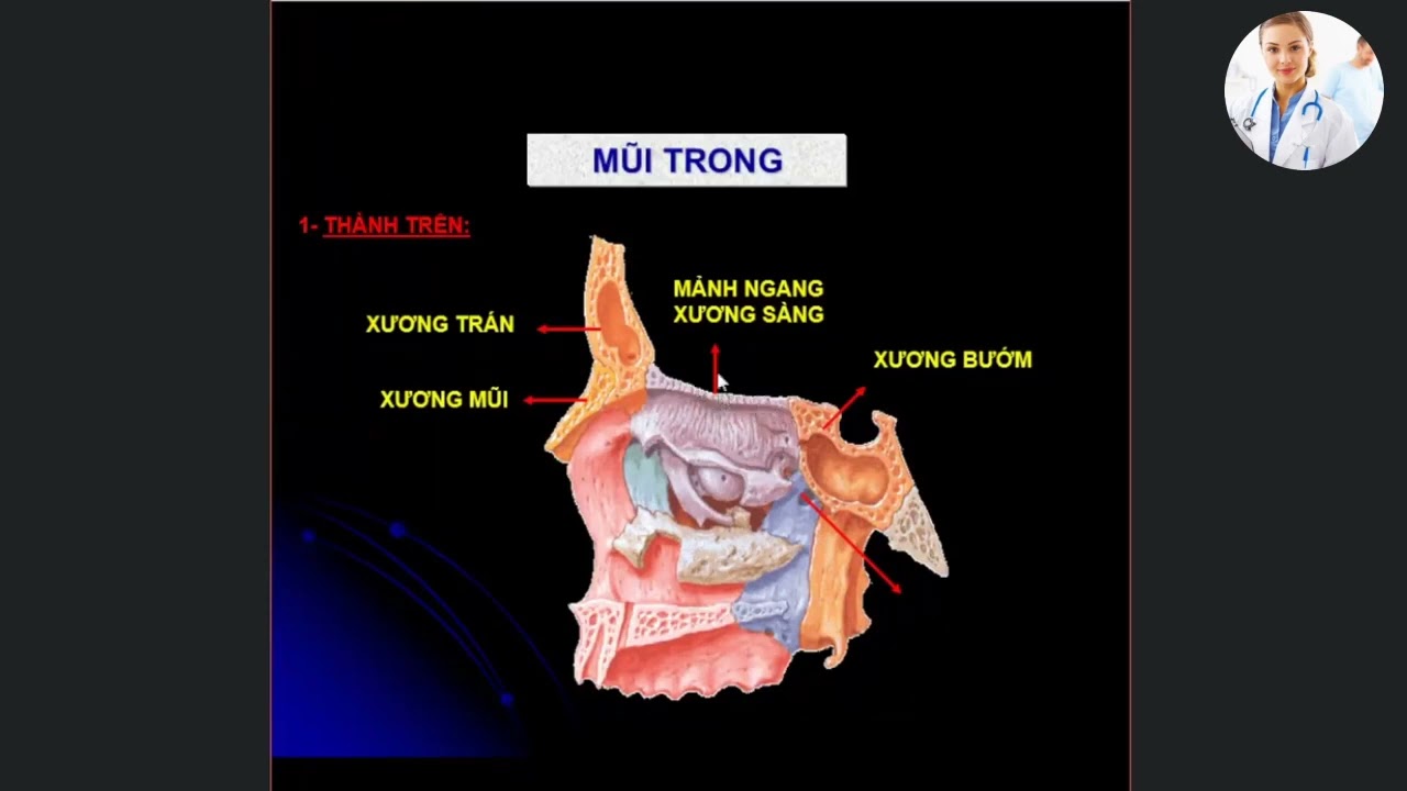Outline Video MŨI - HẦU - THANH QUẢN