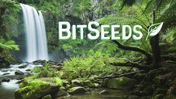 BitSeeds 2.0  - How to Encrypt Your BitSeeds Wallet & Protect the Cryptocurrency Inside