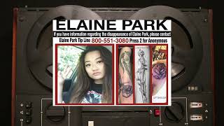 Elaine Park Missing - Mike Einziger Talking About the Case and Why Mike Got Involved -