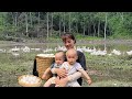 Parents and childrens life harvesting duck eggs going to the market to sell  cooking
