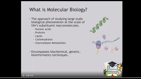 An Intro to Molecular Biology, Synthetic Biology, and Genetic Engineering
