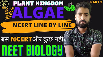 Algae||Plant Kingdom||NCERT class 11th Biology chapter 3||Ncert line by line||NEET