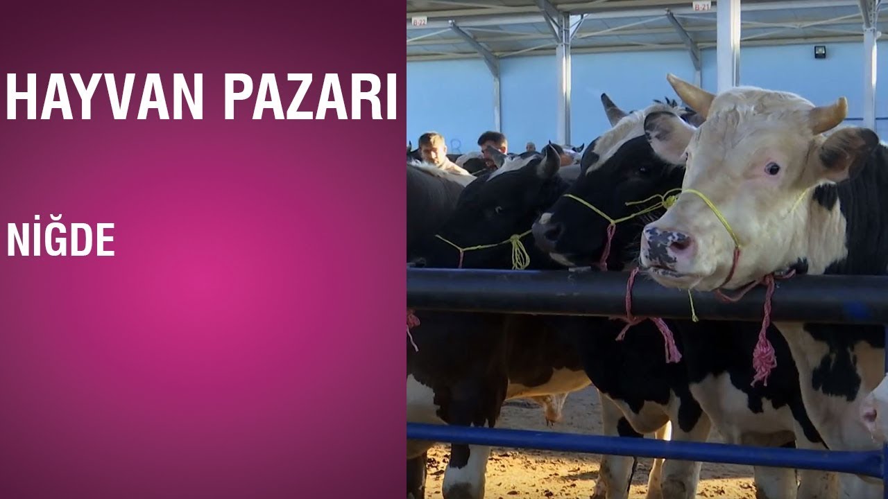 Hayvan Pazarı - Niğde / 2018