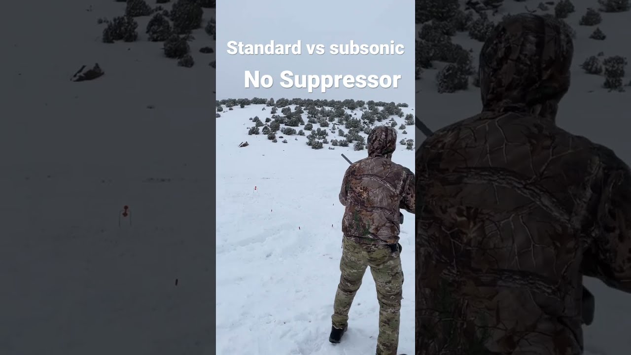  22 Subsonic Ammo Is Quiet Even Without Silencer