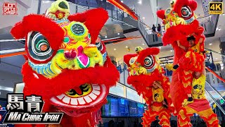 Lion Dance by Ma Ching Ipoh 怡保马青 @ Chagee Aeon Station 18 鸿运双狮 舞狮採青 开张大吉 鼓乐助庆