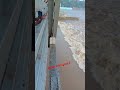 river shorts #construction  #construction #india