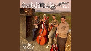 Video thumbnail of "Gwibdaith Hen Fran - Zwgaramwrdi"