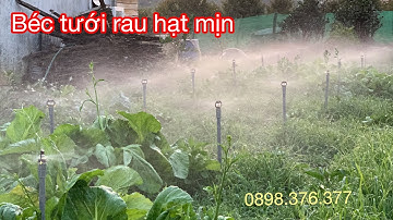 Béc tưới rau X406 hạt mịn cực đều