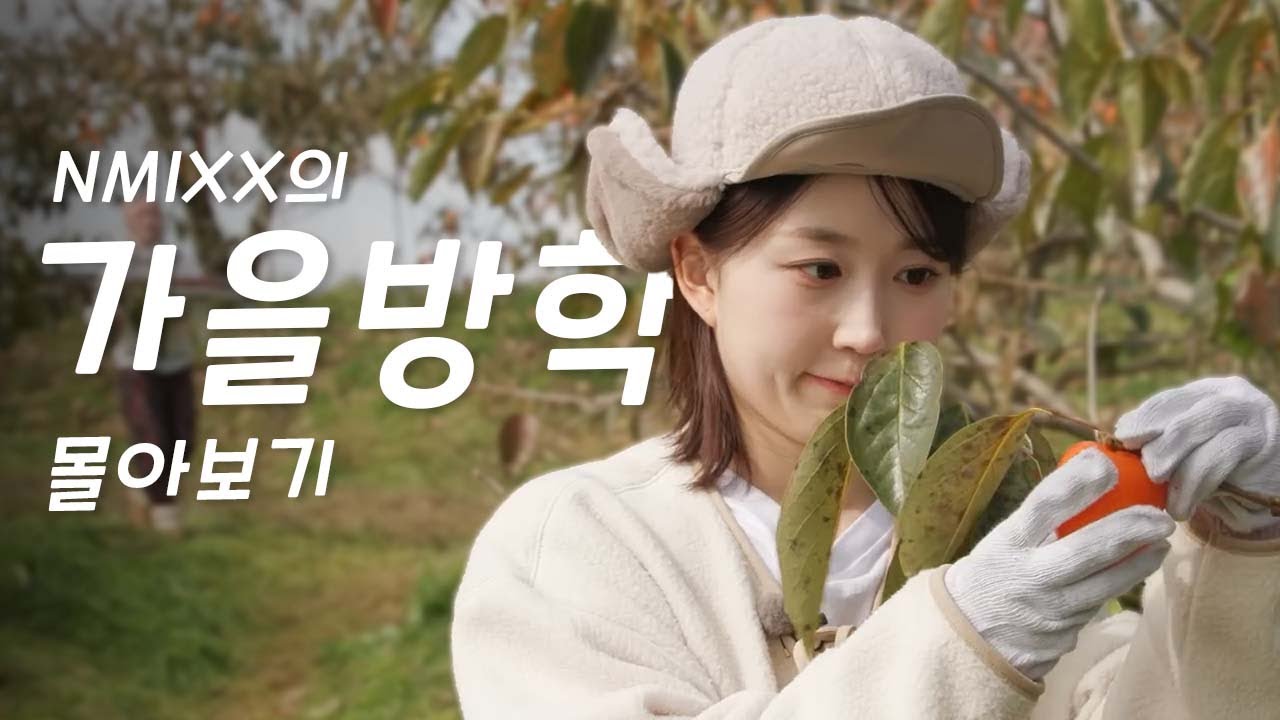 [몰아보기] 엔믹스의 힐링휴가🌰  #NMIXX의가을방학 몰아보기