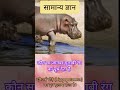 कौन सा जानवर गुलाबी रंग का दूध देता है?,#Prakshitannu,gk questions answer,
