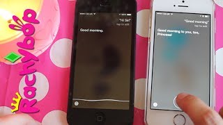 Siri talks to Siri [iOS 7 vs iOS 8] | Rachybop