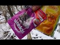 проверка капканов. охота на куницу. trapping