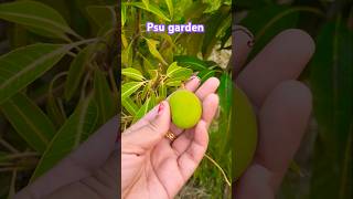 psulife with Amita #shorts #nature #youtubeshorts #viral #shortsviral #ytshorts