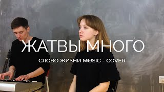 картинка: Жатвы много | Слово жизни Music | - The knee of Levi (Cover)