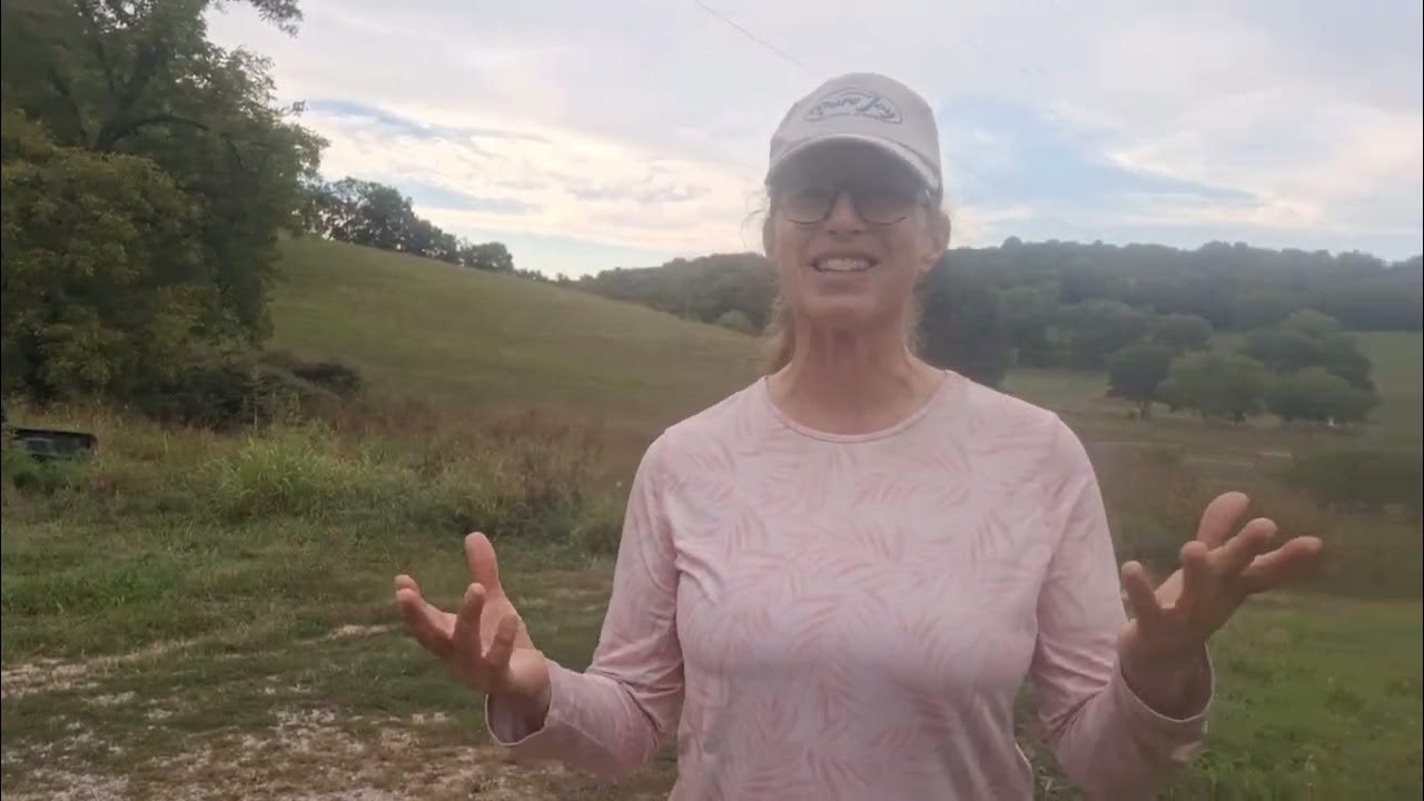 what-is-pure-joy-horsemanship-youtube
