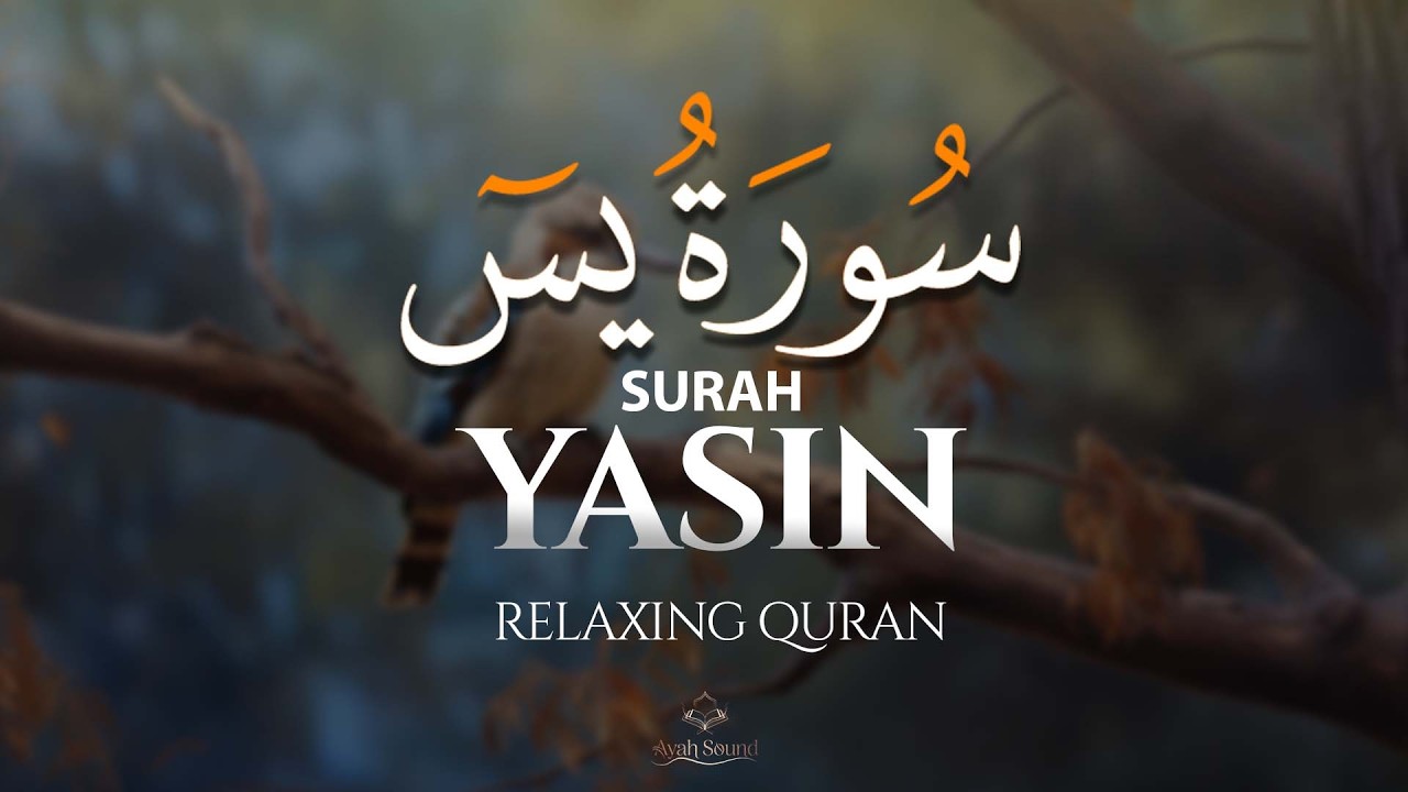 A Spiritual & Peaceful Recitation of Surah Yaseen | Sheikh Ragab Al-Nagar | Ayah sound ✅