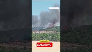 Son Dakika Sakarya Söğütlüde Orman Yangını Çıktı