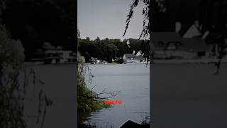 The Stranger in the Lake House A True Creepy Cabin Story