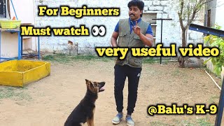 For Beginners, it's very useful | dog training @BalusK9Dogtraining #viral #support #dogs