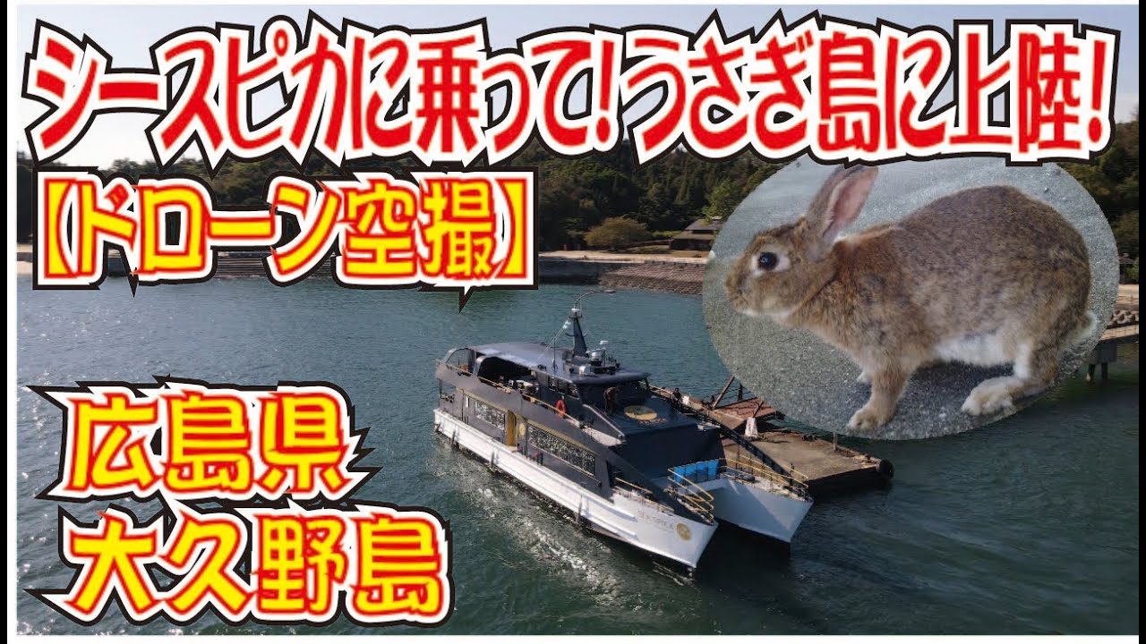 シースピカに乗ってうさぎ島に上陸！【ドローン空撮】広島県大久野島