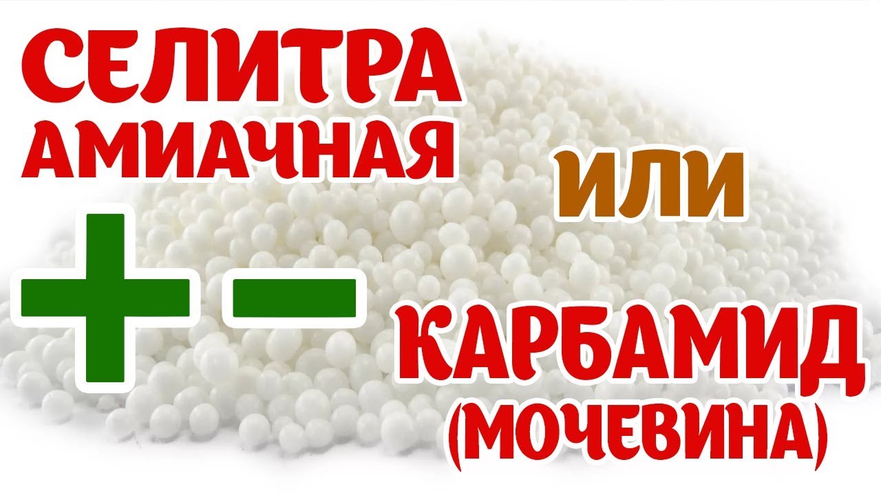 Удобрения. Селитра vs Карбамид (мочевина). Плюсы и минусы каждого.