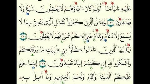 (26) سورة البقرة من 168  الى 176