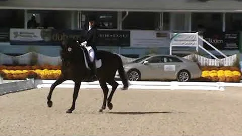 Alexa Briscoe & Wildfeuer - Intermediate I, Dressa...