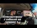 Lasman Vlog #22/1: Поездка из Омска в Сочи на Mazda Bongo Friendee. Путешествие с собакой на машине.