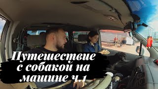 Lasman Vlog #22/1: Поездка из Омска в Сочи на Mazda Bongo Friendee. Путешествие с собакой на машине.