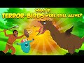 Terror Birds: A Journey Through Time