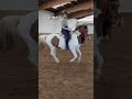 Anna  askinoconsas jbbirt.ayboyjb jbsheriffjb ehemaligesbeelpony fetzen equestrian pony
