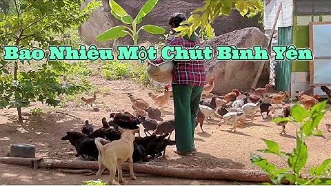 Một Đàn Gà Nhỏ, Một Túp Lều Xinh, Mình Lên Núi Ở Thui