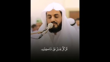 تلاوة هادئة بصوت القارئ رعد الكردي 🤍😴                #قرآن #رعد_الكردي #quran