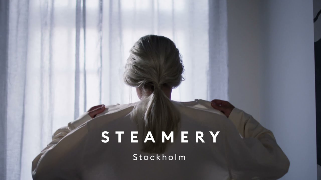 Cirrus 2 Handheld Steamer