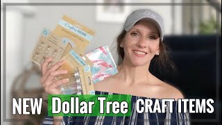 DOLLAR TREE HAUL | IF THEY DON'T FIND A CURE I WILL