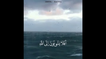 أفلا يتوبون إلى الله ويستغفرونه / القارئ خالد جليل