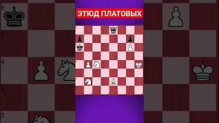 💥ЗАСАДА ДЛЯ КОРОЛЕВЫ #chesspuzzle #шахматныезадачи #шахматы #chess