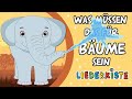 Was müssen das für Bäume sein - Kinderlieder zum Mitsingen | Liederkiste