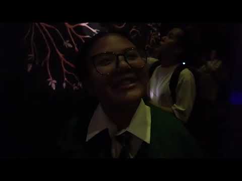 NAMANGHA LANG KAMI SA VISIONS OF MAGIC SA SINGAPORE