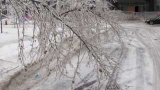 ICE STORM 2013 TORONTO ONTARIO - Striking Video! [December 22, 2013]