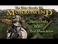 Taking over the dren plantation and toppling the comonna tong in the elder scrolls iii morrowind